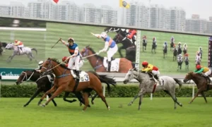 Hướng Dẫn Tìm Hiểu Cá Cược Đua Ngựa ABC8 Chi Tiết Nhất