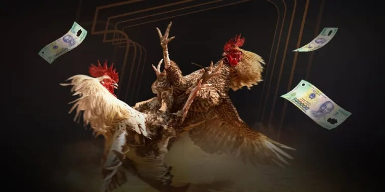 Đá Gà ABC8: Sân Chơi Kê Chiến Trực Tiếp Đẳng Cấp